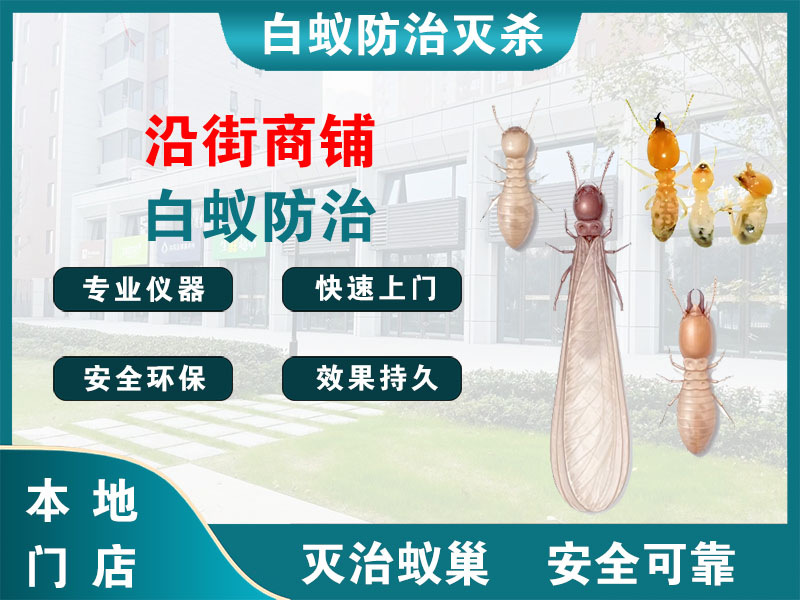 鹿城区沿街商铺白蚁防治