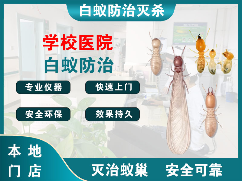 鹿城区学校医院白蚁防治