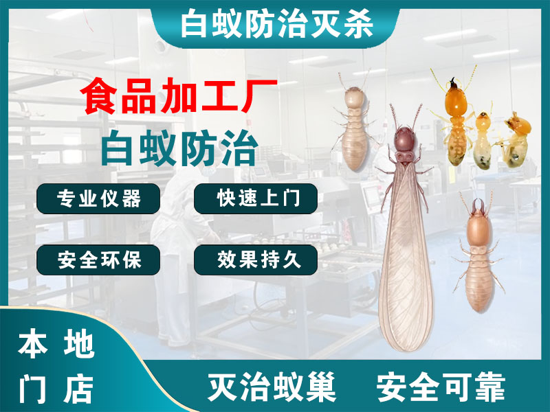 鹿城区食品加工厂白蚁防治