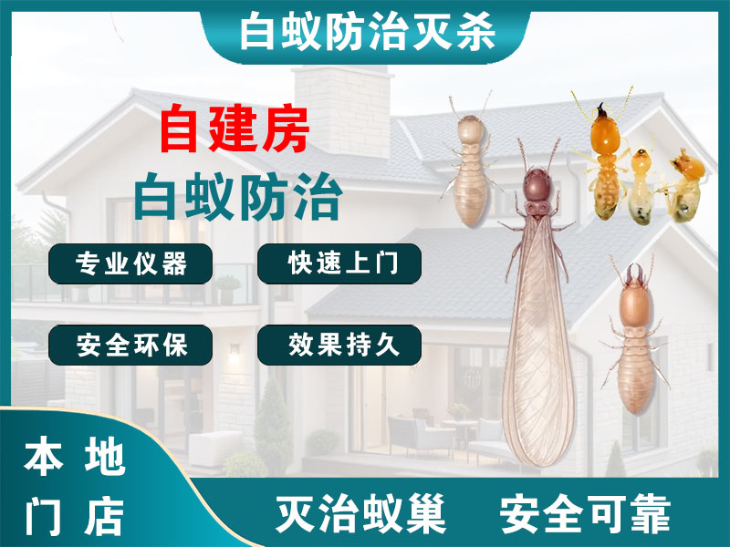 鹿城区自建房白蚁防治
