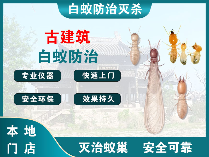 鹿城区古建筑白蚁防治