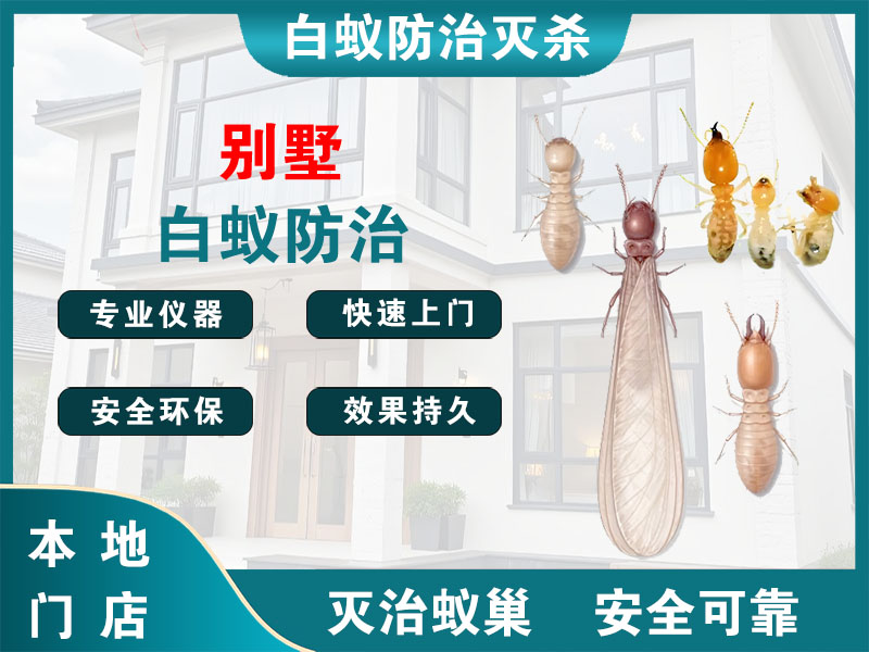 鹿城区别墅白蚁防治